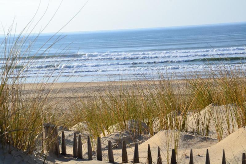 Moliets Plage Appartement Pour 4 Piscine Proche Plage Et Commerces 外观 照片